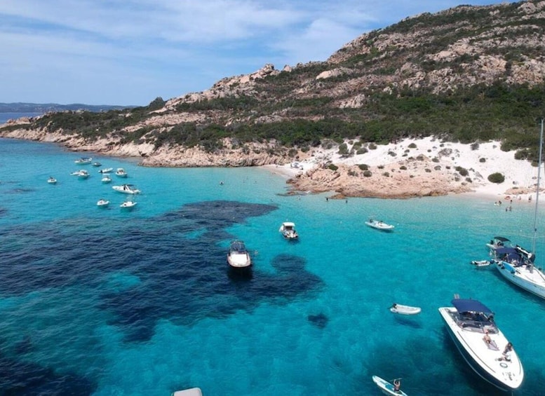 LA MADDALENA: 7 Islands/7 Stops, guided boat tour+snorkeling