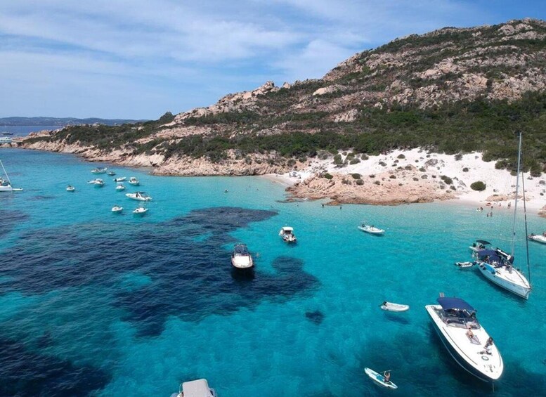 Picture 6 for Activity From Palau: Visit 7 Islands and Guided Day Trip La Maddalena