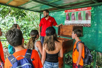 From La Fortuna: Coffee and Chocolate Farm Tour with Tasting