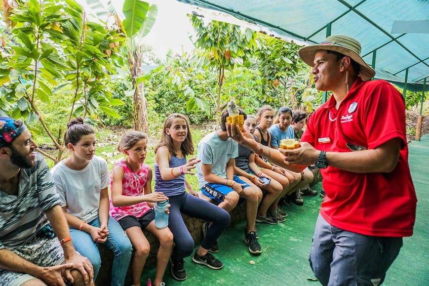 Picture 1 for Activity From La Fortuna: Coffee and Chocolate Farm Tour with Tasting