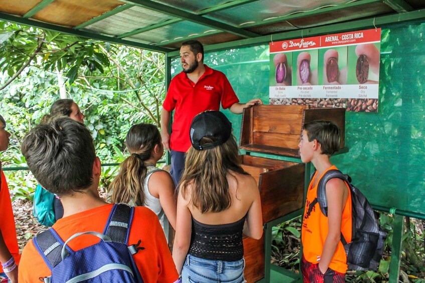 From La Fortuna: Coffee and Chocolate Farm Tour with Tasting