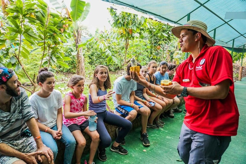 Picture 1 for Activity From La Fortuna: Coffee and Chocolate Farm Tour with Tasting