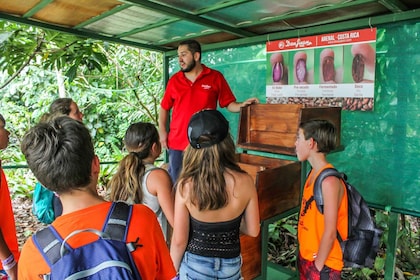 From La Fortuna: Coffee and Chocolate Farm Tour with Tasting
