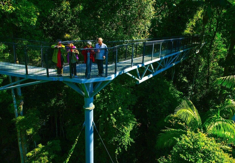 Picture 11 for Activity Brisbane: Hop on Hop off Bus to Tamborine Mountain