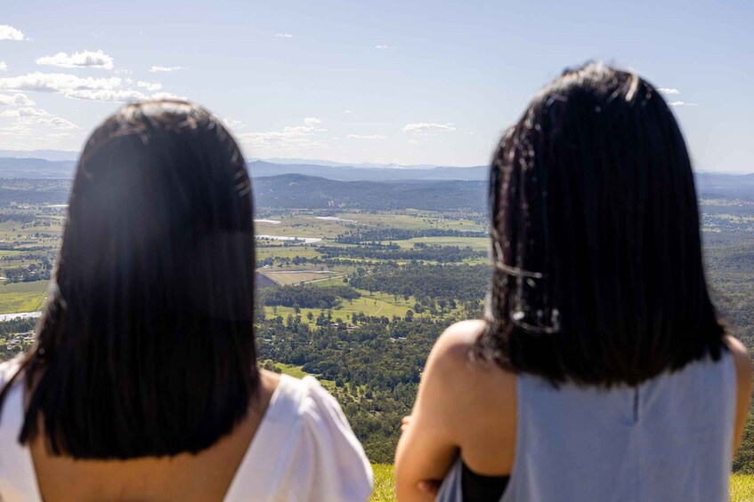 Picture 20 for Activity Brisbane: Hop on Hop off Bus to Tamborine Mountain