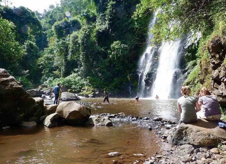 Picture 1 for Activity Materuni Waterfalls