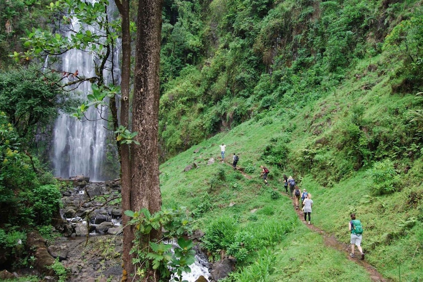 Materuni Waterfalls