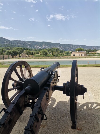 Luberon Wine and Charm: Explore the Flavors of the South