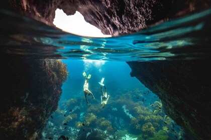 Auckland: Guided Snorkeling and Island Exploration Tours