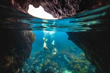 Auckland: Guided Snorkelling and Island Exploration Tours