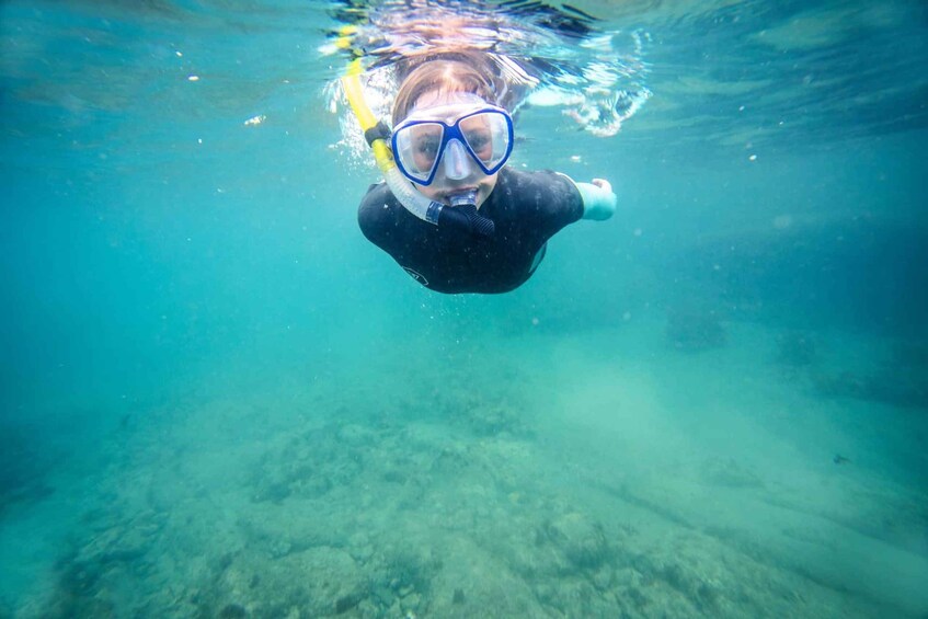 Picture 3 for Activity Auckland: Guided Snorkeling and Island Exploration Tours