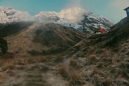 Annapurna Base Camp: A delightful 5 days Trek