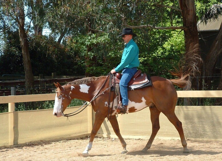 Picture 1 for Activity Agadir: Guided Horse Riding Along Flamingo River with Tea