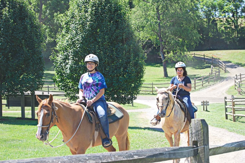 Picture 7 for Activity Agadir: Guided Horse Riding Along Flamingo River with Tea