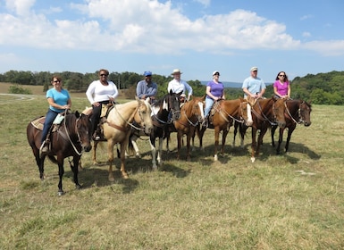 Agadir: Guided Horse Riding Along Flamingo River with Tea