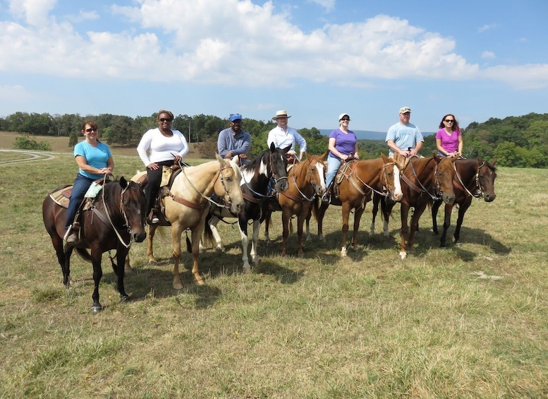 Agadir: Guided Horse Riding Along Flamingo River with Tea