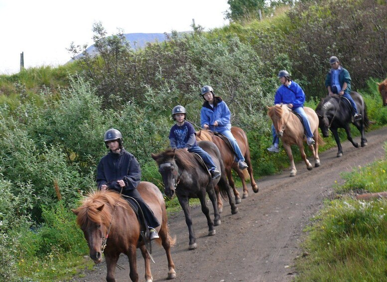 Picture 3 for Activity Agadir: Guided Horse Riding Along Flamingo River with Tea