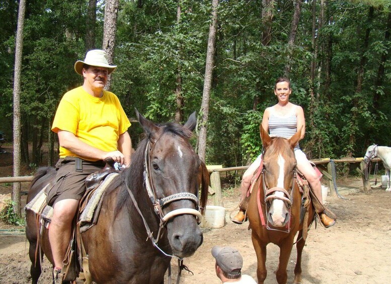 Picture 4 for Activity Agadir: Guided Horse Riding Along Flamingo River with Tea