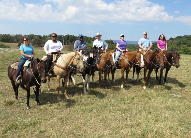 Agadir: Guided Horse Riding Along Flamingo River with Tea