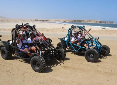 Aventura en minibuggy y visita a la Reserva de Paracas