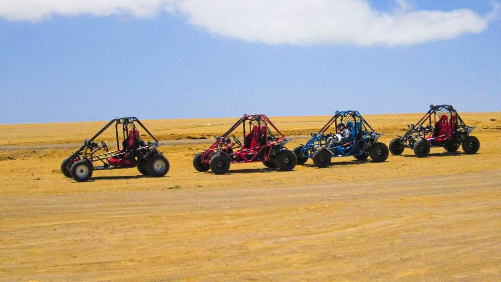 Picture 4 for Activity Minibuggy Adventure and visit to the Paracas Reserve