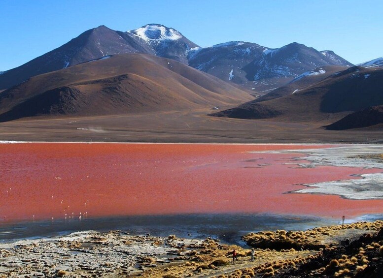 Picture 13 for Activity From San Pedro de Atacama: Uyuni Salt Flat 4-Days