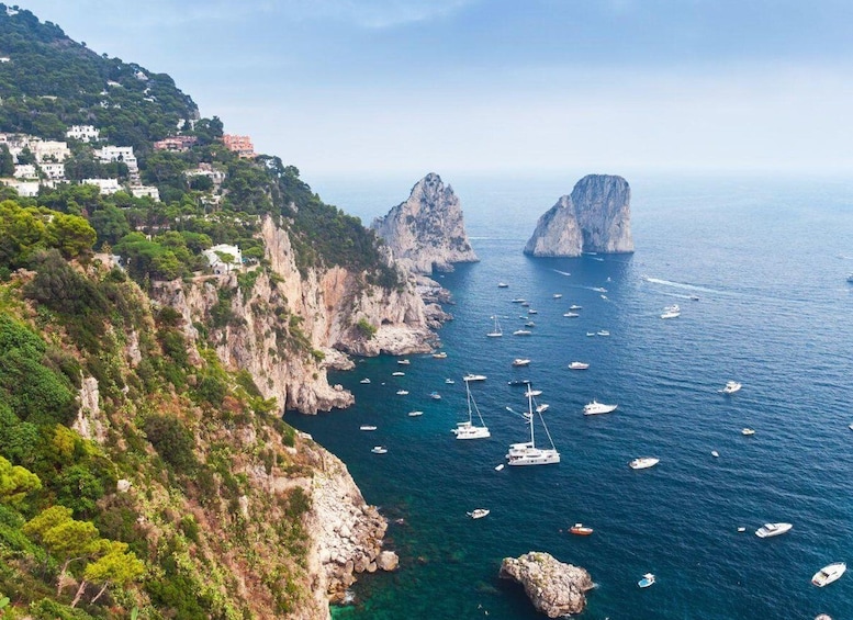 Picture 9 for Activity From Naples: Capri Boat Tour with Island Stop and Snorkeling