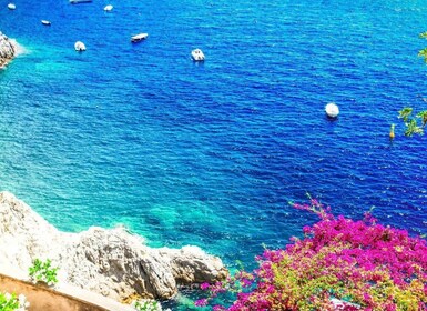 Depuis Naples : Bateau Capri excursion avec arrêt sur l'île et plongée en a...