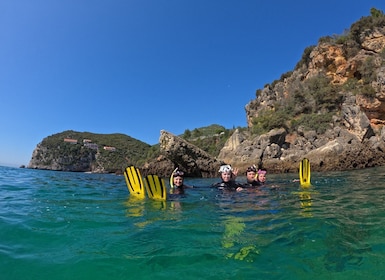 Arrábida: Snorkelling experience in Arrábida Marine Reserve