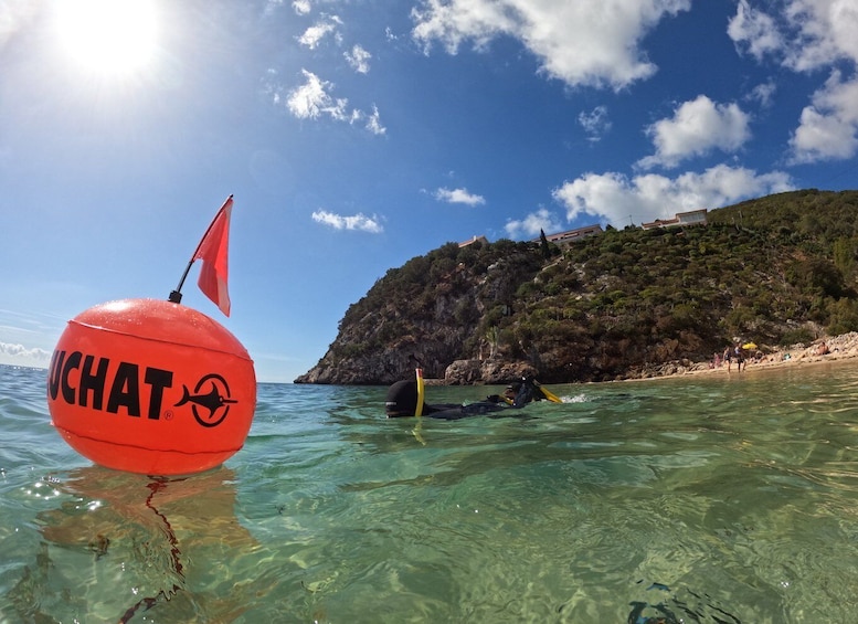 Picture 2 for Activity Arrábida: Snorkeling experience in Arrábida Marine Reserve