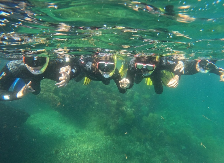 Picture 7 for Activity Arrábida: Snorkeling experience in Arrábida Marine Reserve