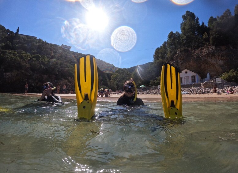 Picture 3 for Activity Arrábida: Snorkeling experience in Arrábida Marine Reserve