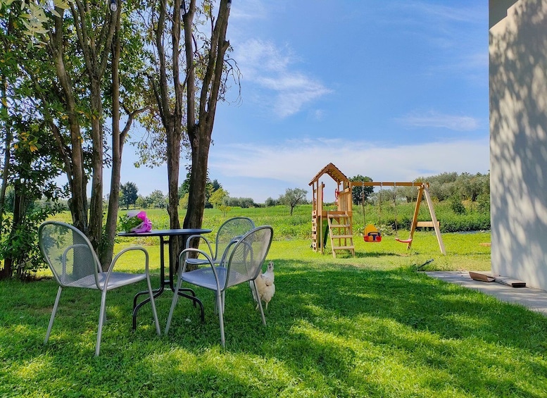 Picture 9 for Activity Lazise: Wine Tasting with Charcuterie and Cheese Board