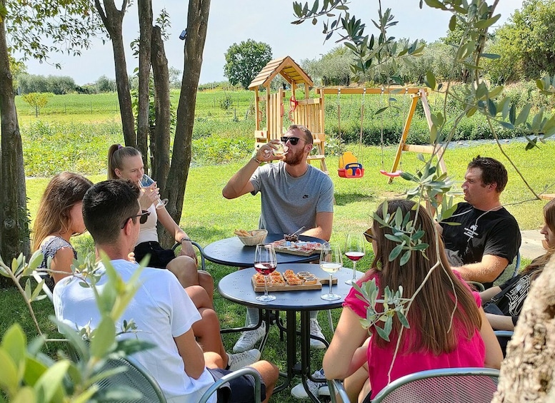 Lazise: Wine Tasting with Charcuterie and Cheese Board