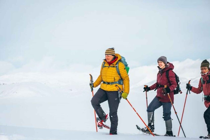 Picture 2 for Activity Jotunheimen: Snowcoach Tour With Lunch