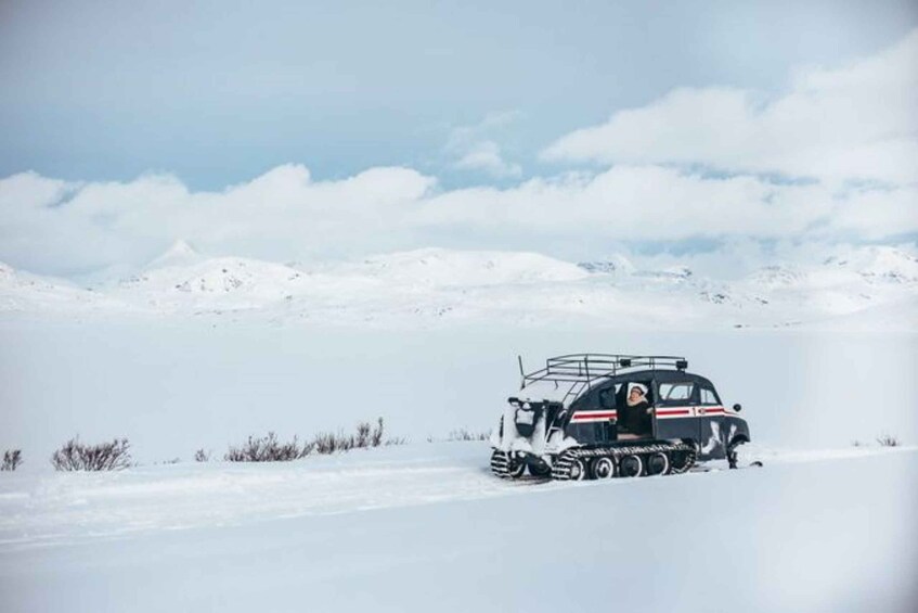 Picture 5 for Activity Jotunheimen: Snowcoach Tour With Lunch