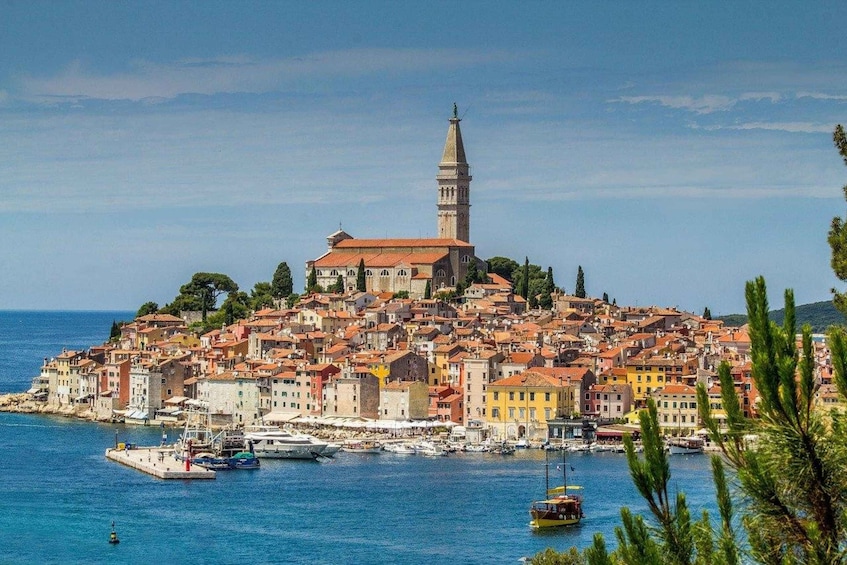 From Fazana: Private cruise to Rovinj with islands and city