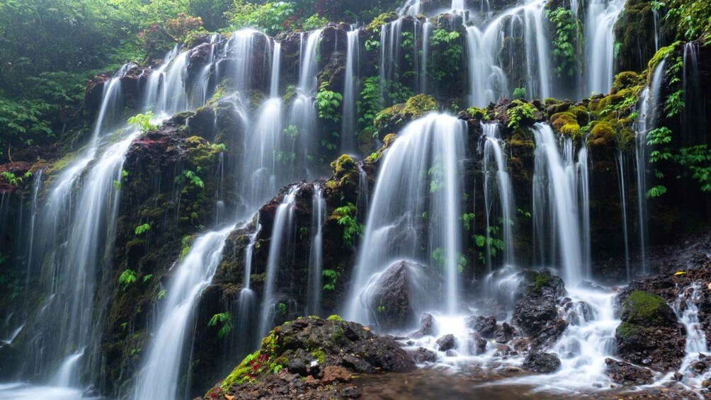 Picture 2 for Activity Munduk: Banyu Wana and Sekumpul Waterfall Trekking Tour