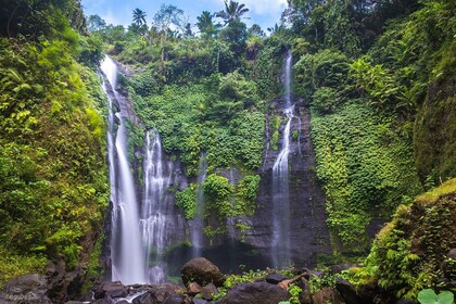 Munduk : Trekking Banyu Wana et cascade de Sekumpul excursion