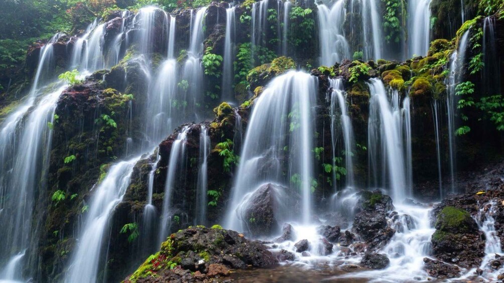 Picture 2 for Activity Munduk: Banyu Wana and Sekumpul Waterfall Trekking Tour