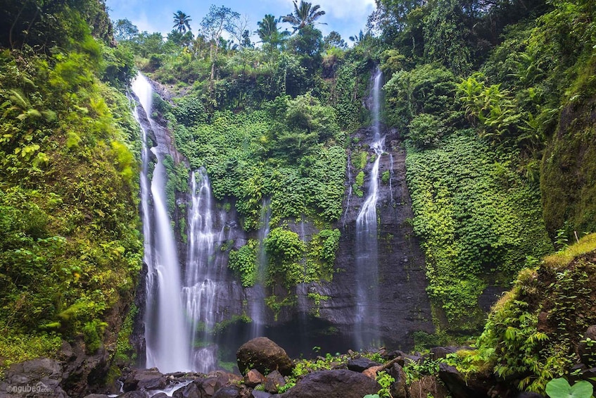 Munduk: Banyu Wana and Sekumpul Waterfall Trekking Tour