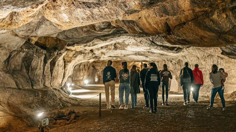 Caves prehistory of Esplugues Francolí with hotel pickup