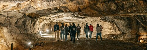 Caves prehistory of Esplugues Francolí with hotel pickup