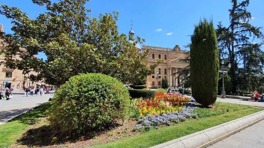Salamanca: Private Literary History Walking Tour