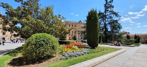 Salamanca: recorrido privado a pie por la historia literaria