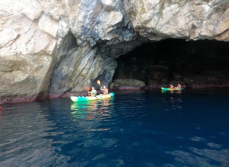 Picture 8 for Activity La Herradura: Kayak & Snorkel Tour to Cerro Gordo Reserve