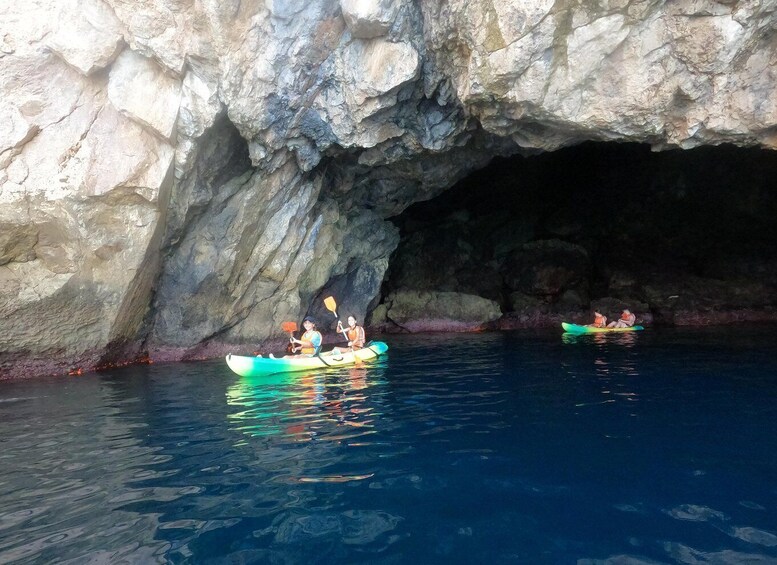 Picture 8 for Activity La Herradura: Kayak & Snorkel Tour to Cerro Gordo Reserve