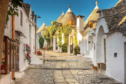 Från Polignano a Mare: Guidad rundtur i Alberobello