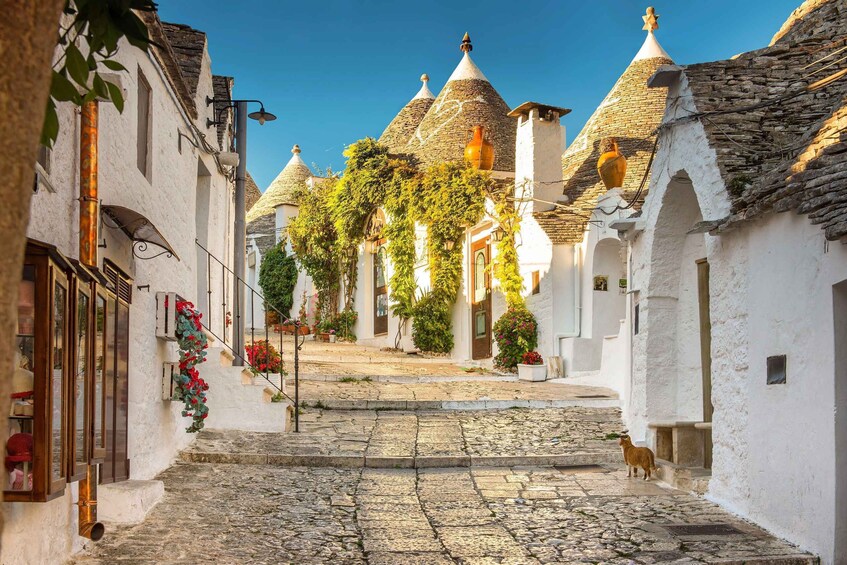 From Polignano a Mare: Alberobello Guided Tour