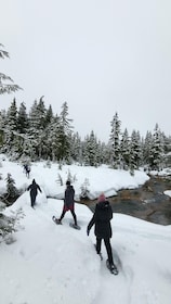 Vancouver Island Snowshoeing and Sauna Tour